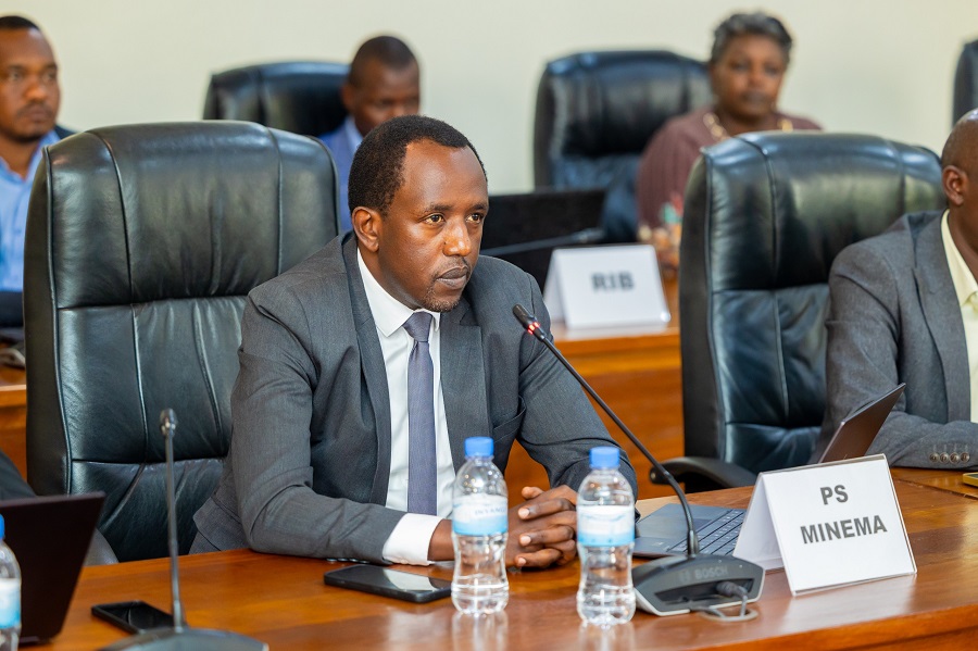 Umunyamabanga Uhoraho muri MINEMA, Habinshuti Philippe