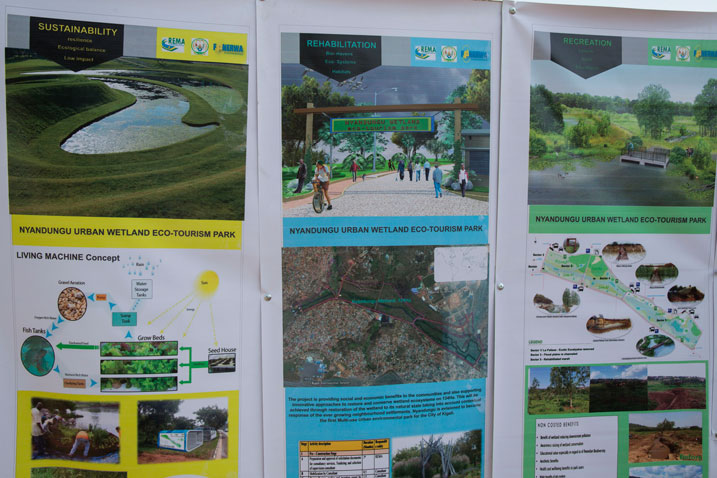 Igishanga cya Nyandungu uko niko kizaba kimeze 