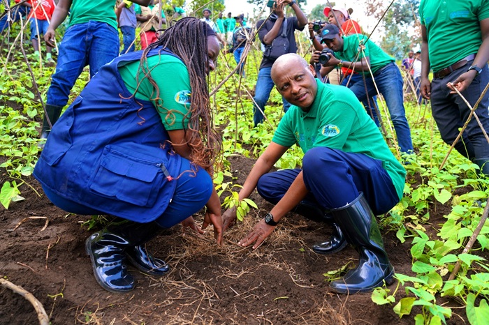 Minisitiri Cyubahiro atera igiti
