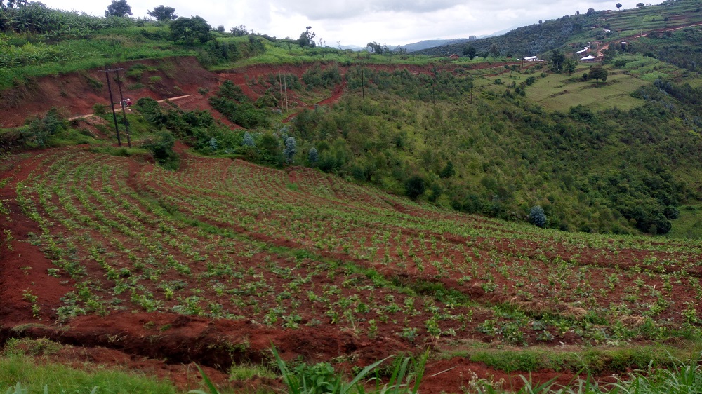 Minisitiri Shyaka avuga ko kuba imisozi ya Nyaruguru itoshye byagombye kubabera impamvu yo gutera imbere bahereye ku buhinzi