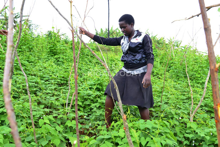 Miss Rukaragata akora ibikorwa bitandukanye aho afatanya n'urundi rubyiruko gufasha abatishoboye. Aha yashingiriraga ibishyimbo by'umukecuru warokotse Jenoside yakorewe Abatutsi 