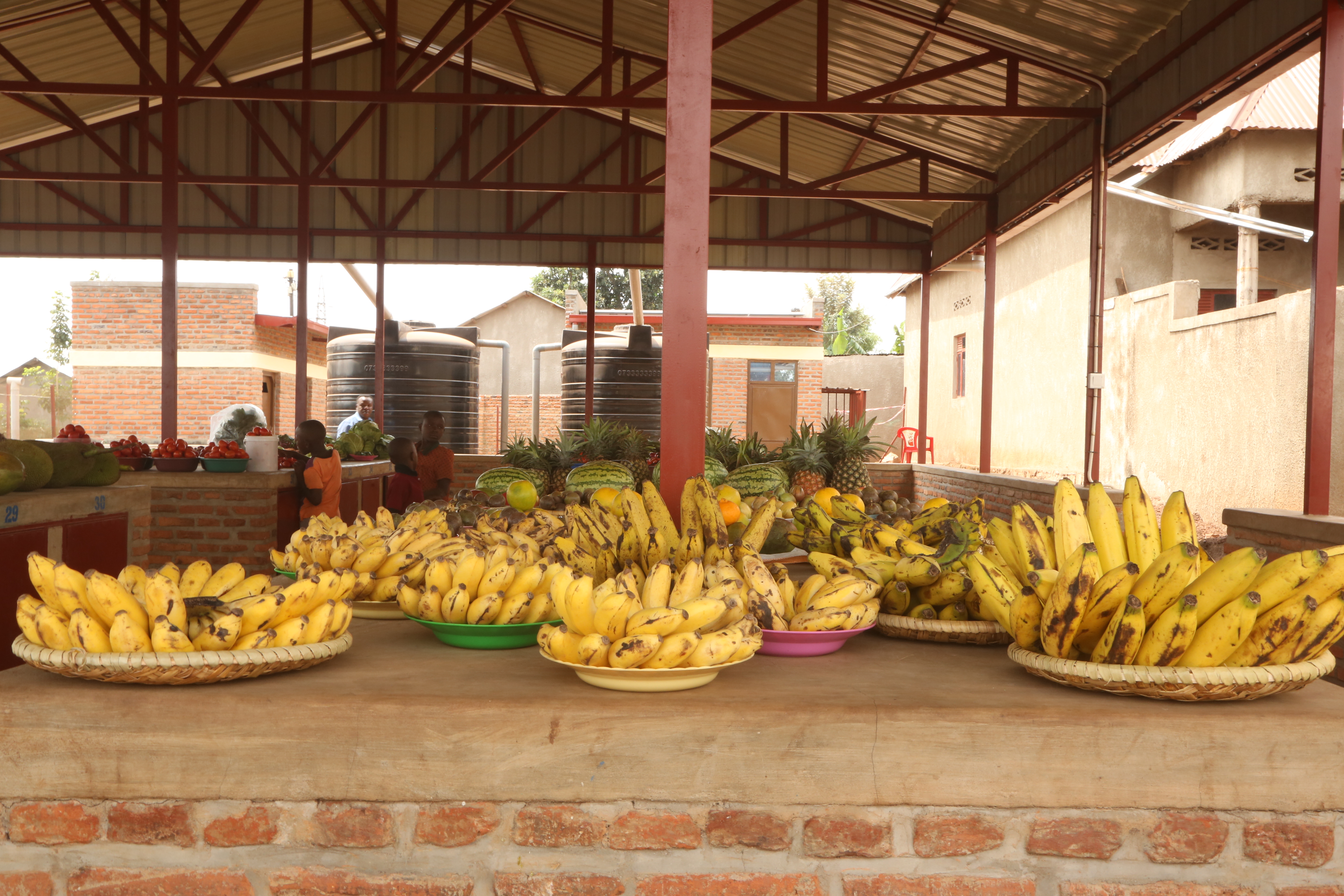 Imbuto bacuruza ntizizongera kwangirika