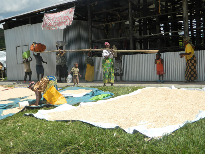 Gutubura imbuto ngo bisaba imirimo myinshi.