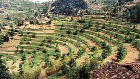 Mu mirenge ya Jomba na Muringa hakozwe amaterasi kandi bifasha abaturage.