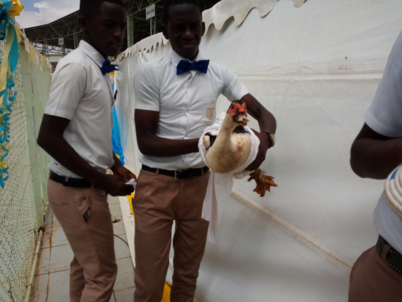 Mu gihe cyo gutanga amaturo, aba bo batanze imbata