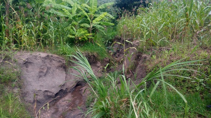 Mu kabande imirima yaratwawe