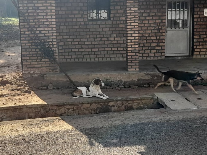 Mu mujyi rwagati ziba zizenguruka