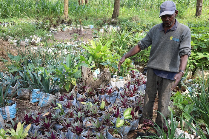 Mudenge afite ubuhumbikiro bw'indabo n'ibiti by'imitako bumwinjiriza akayabo