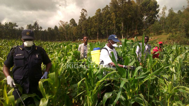 Bernard Makuza perezida wa sena mu muganda mu karere ka Muhanga
