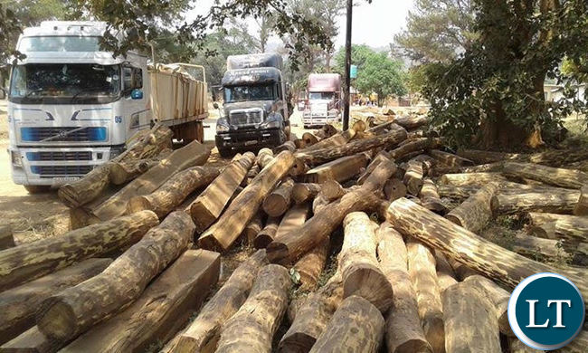 Ibi biti birimo gucika ku isi ngo ni imari ikomeye