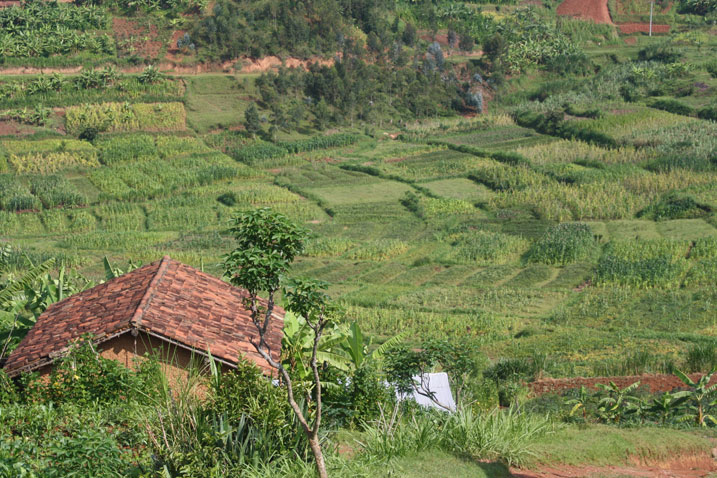 Aha niho hazubakwa Sitade ya Ngororero abaturage bamaze kwimurwa.