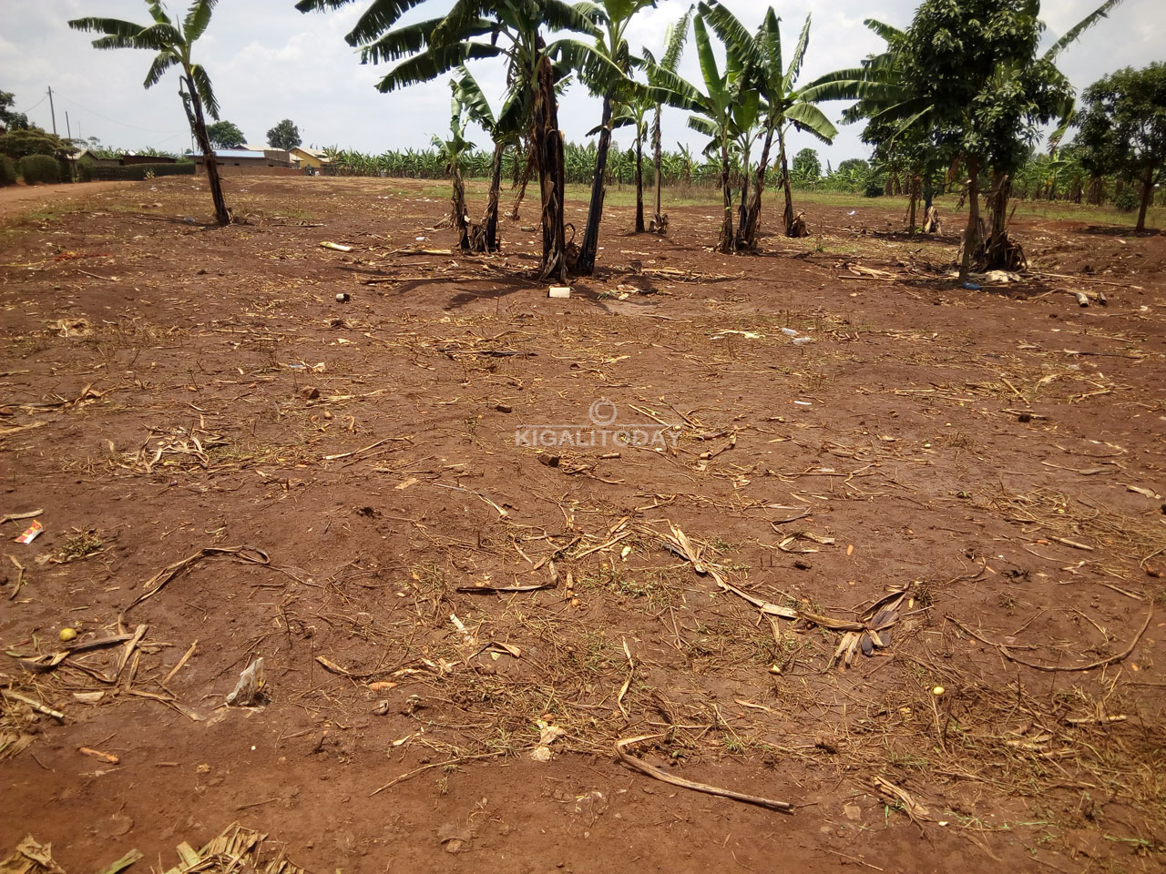 Muri uyu murima niho isoko rya Gasogororo riremera.