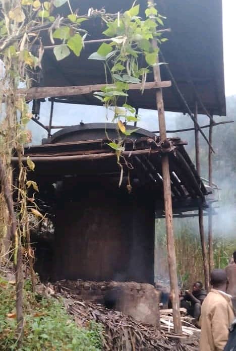 Muri ako gace hari inganda eshatu zikamura amababi y'inturusu