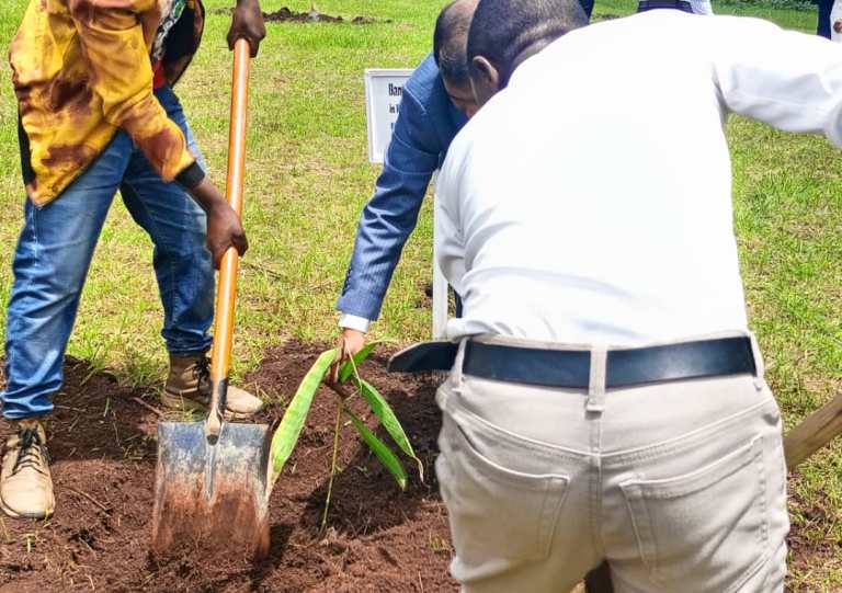 Muri NIRDA bateye imigano yifashishwa mu kubaka