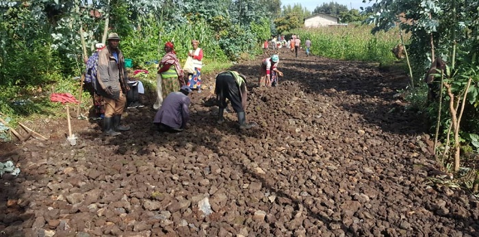 Umuhanda abaturage barimo gukora muri gahunda ya VUP, mu Murenge wa Kinigi, uri mu bikomeje kubinjiriza agafaranga