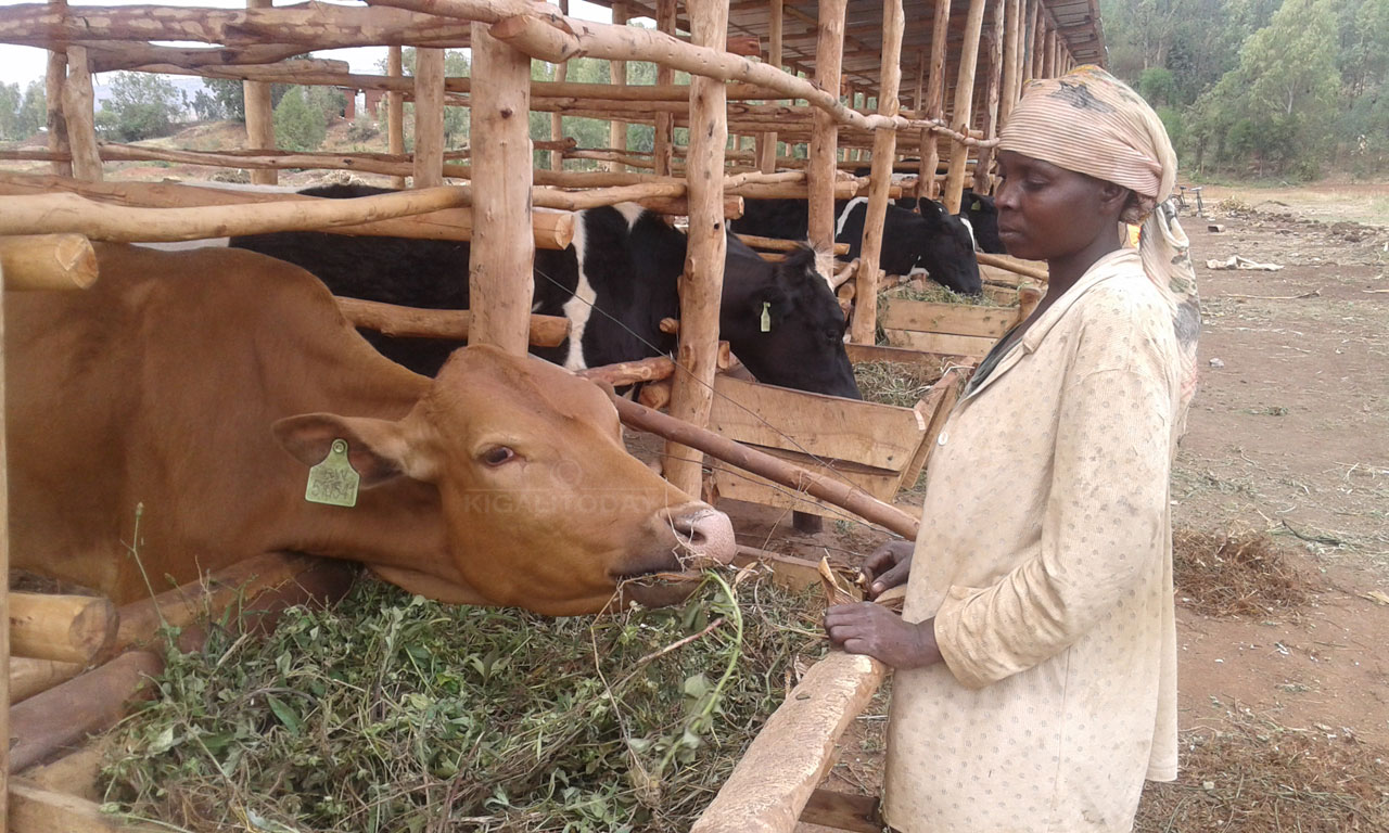 Inka bahawe kuri ubu zirahaka 