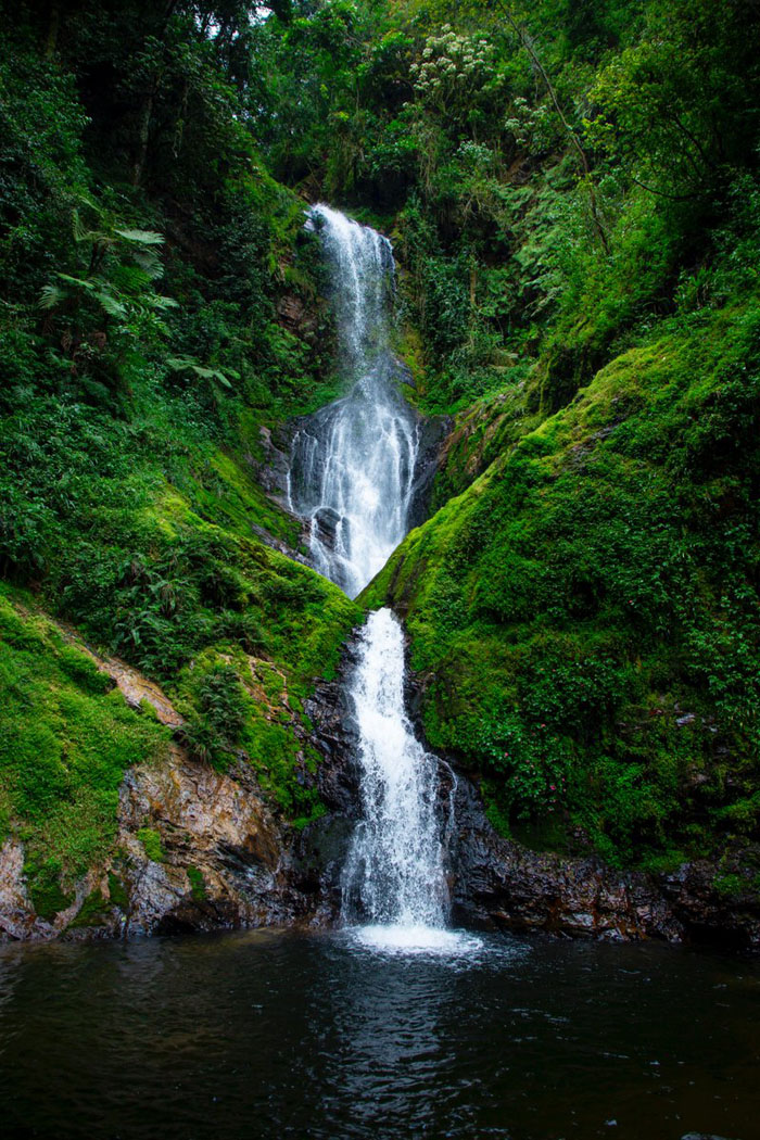Muri Pariki ya Nyungwe, hari byinshi bikurura ba mukerarugendo