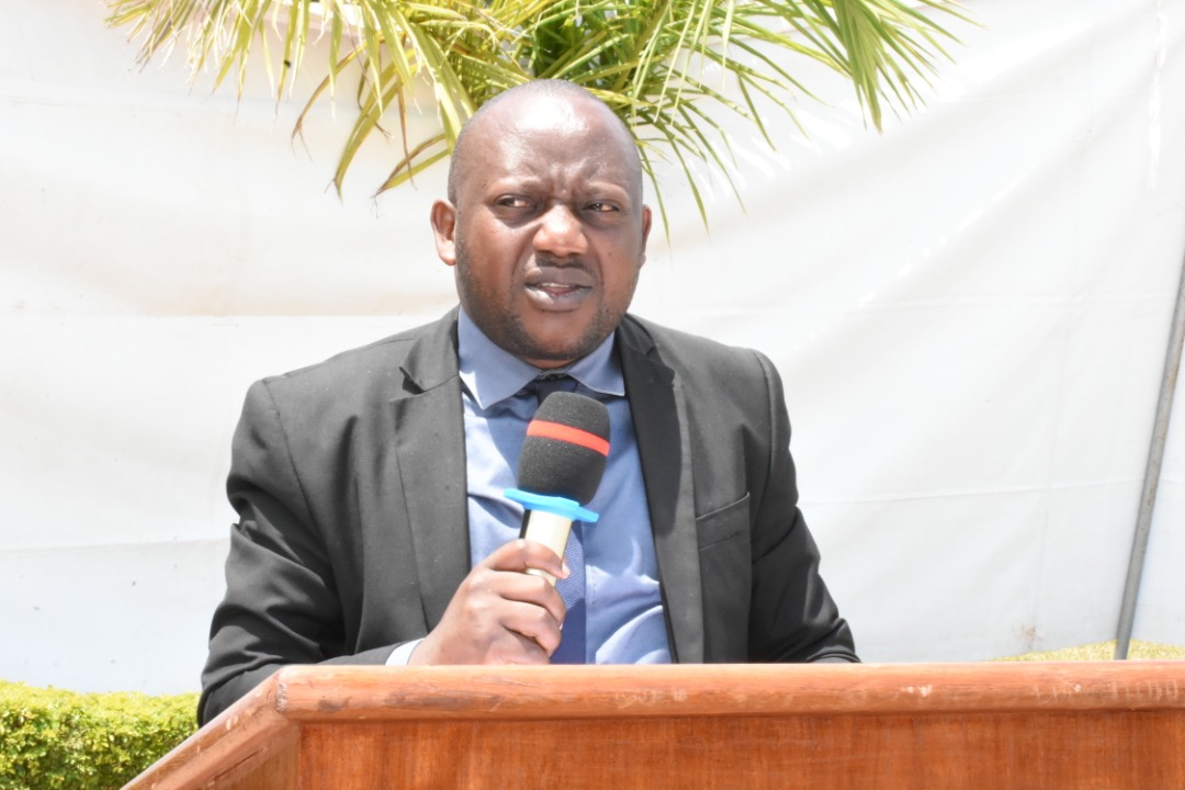 Kizito Habimana, Visi Perezida wa NEC