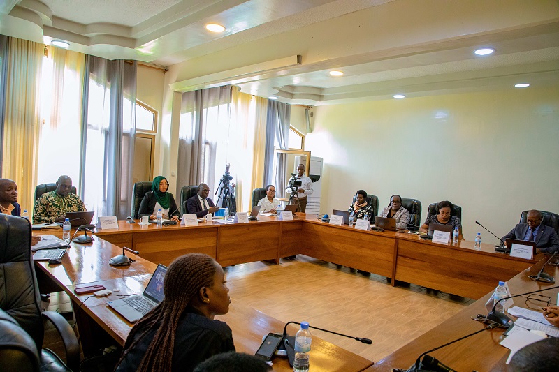 Abadepite bumva Never Again