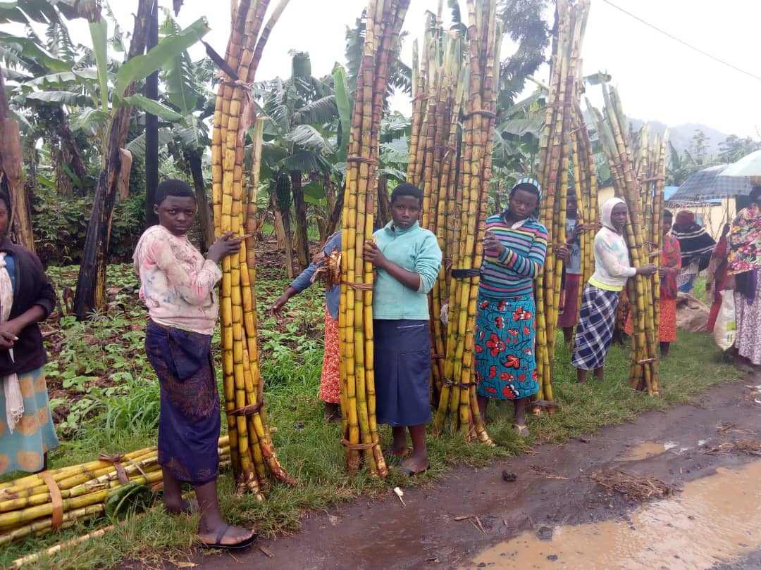 Ngo bahisemo kwihangira imirimo mu gihe babuze amikoro abafasha kwiga