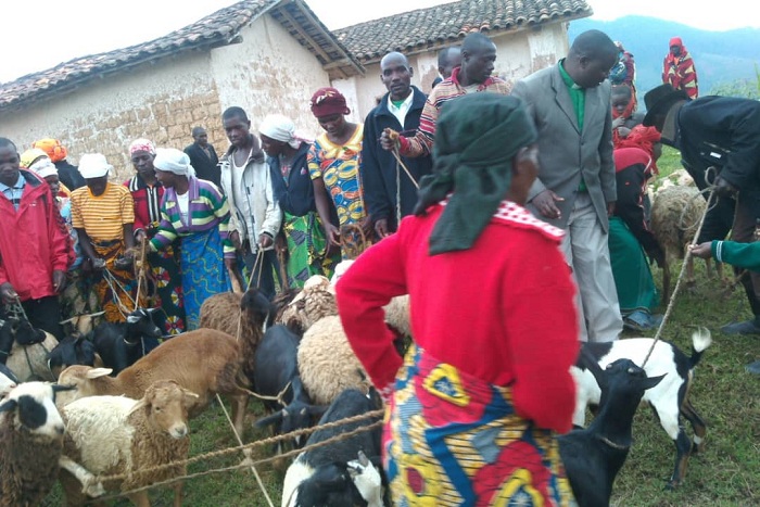 Kwizigamira byatumye abaturage bashobora kubona amatungo