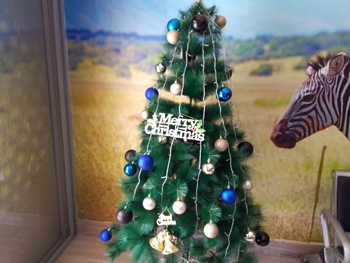 Imitako ya Noheli mu nzu z'abaturage