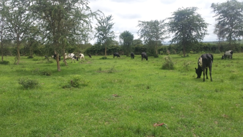 Nta nka izongera kurenga urwuri muri Nyagatare 