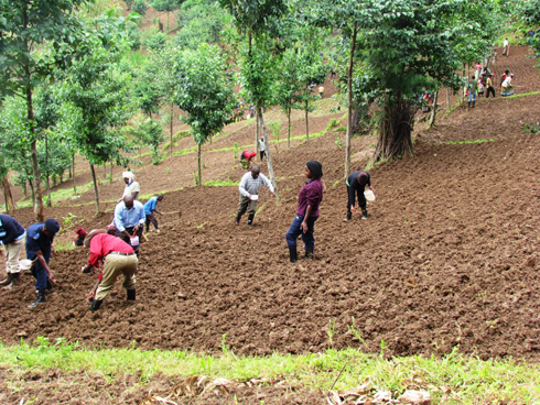 Ku butaka buhuje kandi bwateguwe neza mu murenge wa Rurembo, niho hatangirijwe igihembwe cy