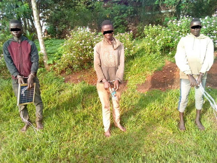 Abafatanywe insinga bari kuri RIB Sitasiyo ya Mimuli