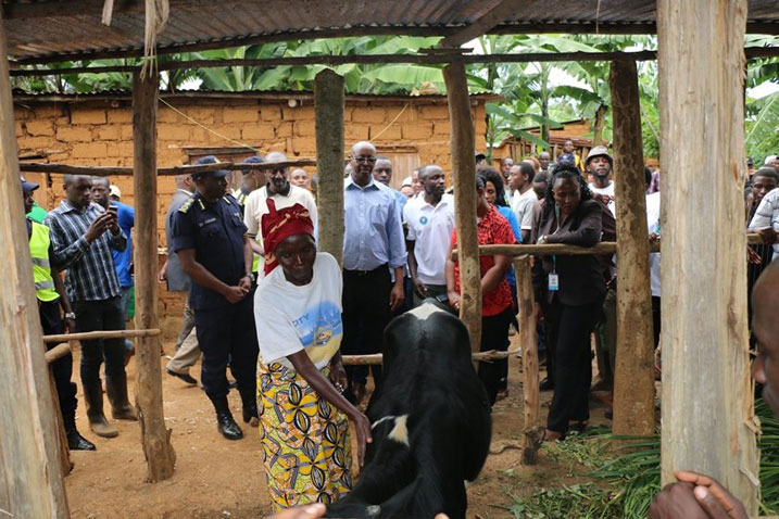 Urubyiruko rw'abakorerabushake mu gucunga umutekano rwagabiye inka umukecuru utishoboye 