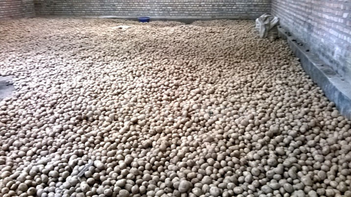 Mu Karere ka Nyamagabe abaturage bishimira ko basigaye ngo bafite umusaruro w'ubuhinzi ushimishije.