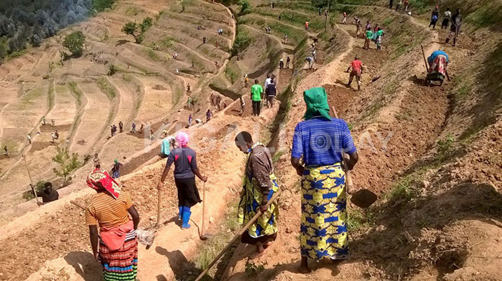 Ngo banigishijwe uburyo bwiza bwo guhinda ubu bibohoye inzara yajyaga yiza benshi.