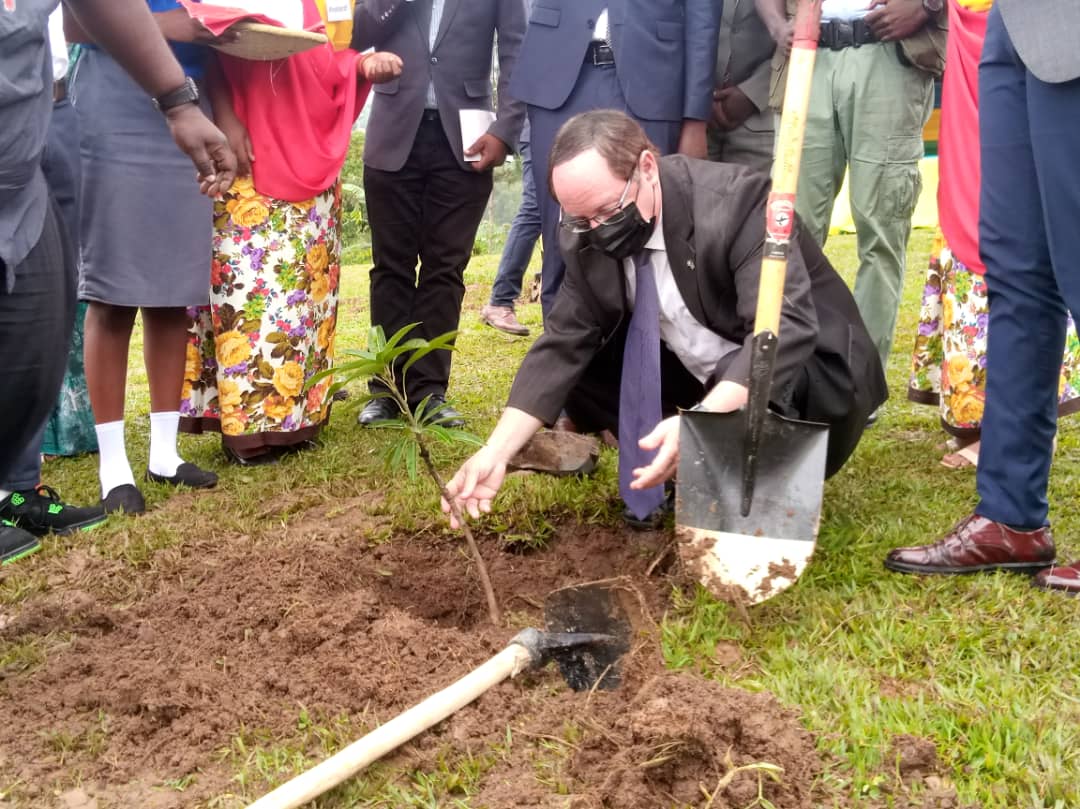 Mu kigo cy'amashuri cya Nyagisenyi yahateye ibiti by'imbuto, mu rwego rwo kurengera ibidukikije no guharanira imirire myiza