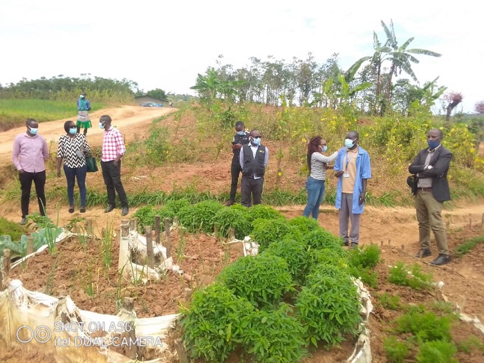 N'ubwo ari mu mpeshyi abaturage b'i Kibirizi bamwe baracyafite uturima tw'imboga bagaburira abana mu rwego rwo kurwanya imirire mibi