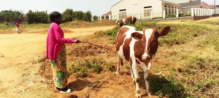 Uwodusaziye Astherie yagabiwe inka ku bwo kuba umurinzi w