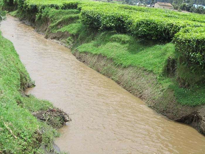 Nyamukongoro umugezi usanzwe unyura mu cyayi ni wo bavomaga