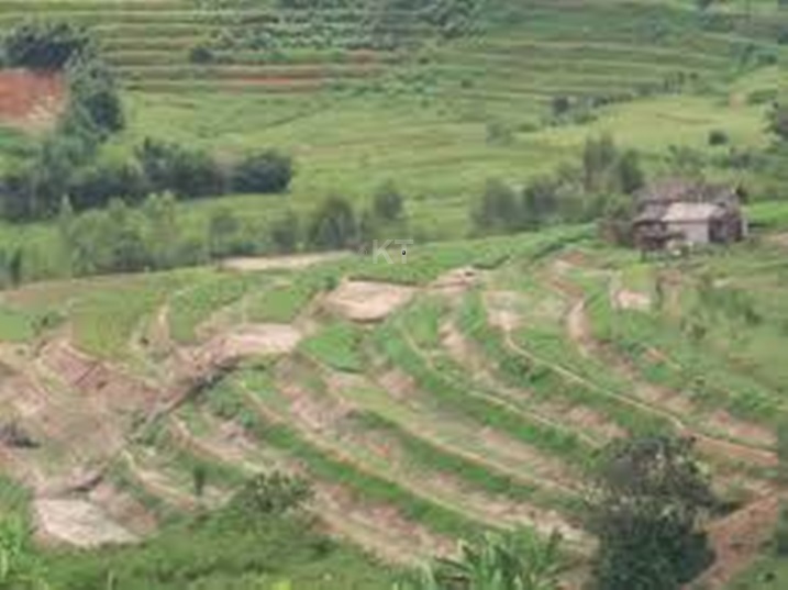 Bumwe mu butaka burwanyijweho isuri bwo mu karere ka Nyanza.