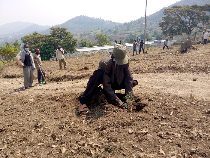 Abaturage bateye ibiti