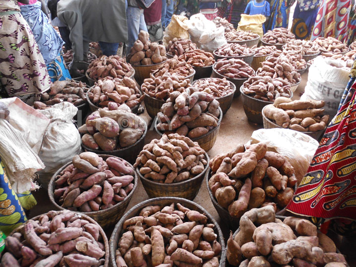 Ibijumba ngo ni kimwe mu bihingwa byera muri Nyaruguru byaciye inzara.