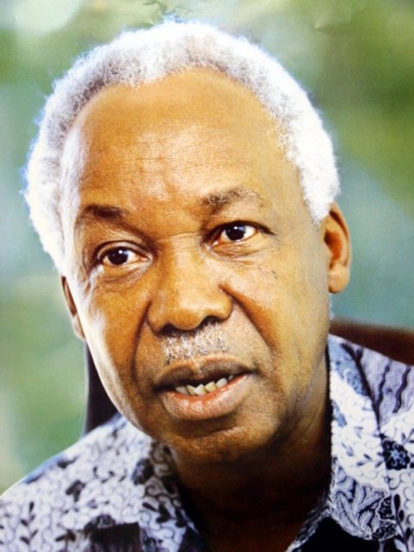 Julius Kambarage Nyerere afatwa nk'umwe mu bagize uruhare rukomeye mu iterambere rya Tanzania ndetse agira n'uruhare rwatumye Afurika igira ijambo mu ruhando mpuzamahanga