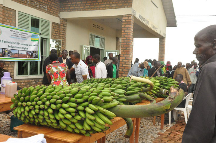 Nyuma y'imyaka myinshi y'ubukene abaturage ba Gikomero batangiye kwiteza imbere kubera gahunda zitandukanye za Leta zo kubafasha.