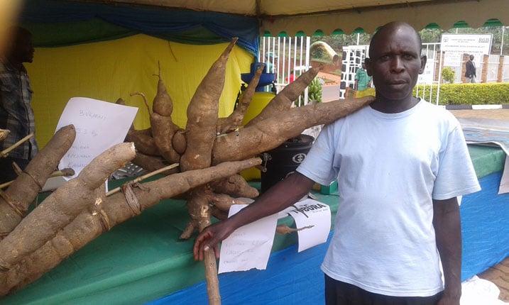 Nzeyimana, umuhinzi ntangarugero, mu imurikabikorwa.