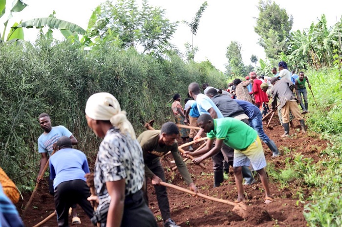 I Nzige baguraga umuhanda ku burebure bwa Kilometero eshatu