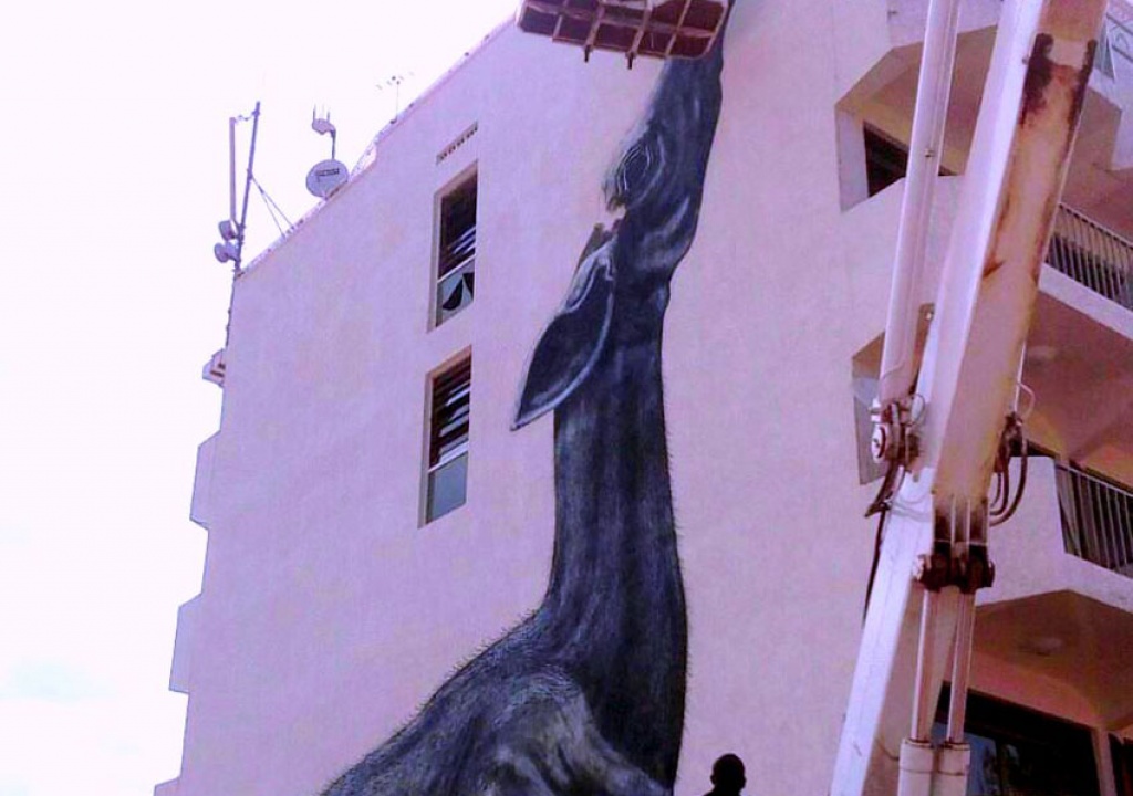 Igishushanyo cya Okapi giteye ubwuzu ku buryo ntawe ukinyuraho atararanganyije amaso