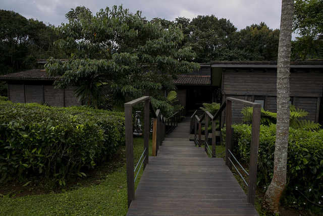 One and Only Nyungwe House harangwa n'umutuzo ndetse n'umutekano