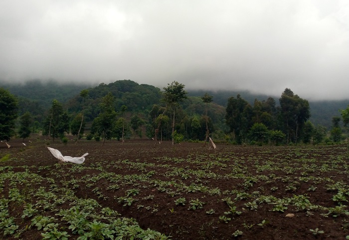 Ubuso bwa Ha 3740 nibwo iyi Pariki izagurirwaho mu mushinga uzamara imyaka 10