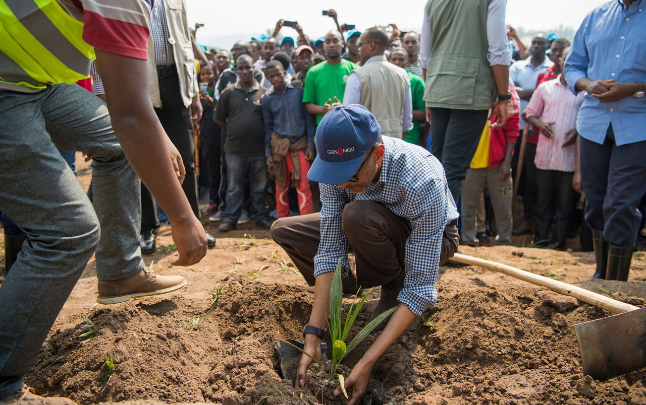 Perezida Kagame ari gutera igiti ahazashyirwa Pariki y'Ubukerarugendo butangiza Ikirere Nyandungu Eco Tourism Park.