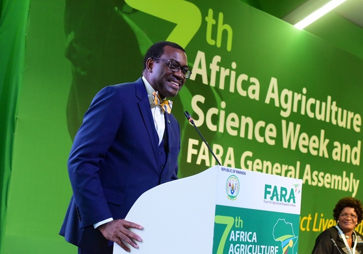 Perezida wa BAD, Akinwumi Adesina.