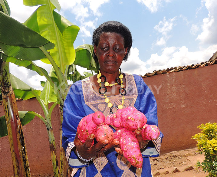 Ibi bijumba bikize kuri Vitamini A binabyazwa ibindi biribwa nk