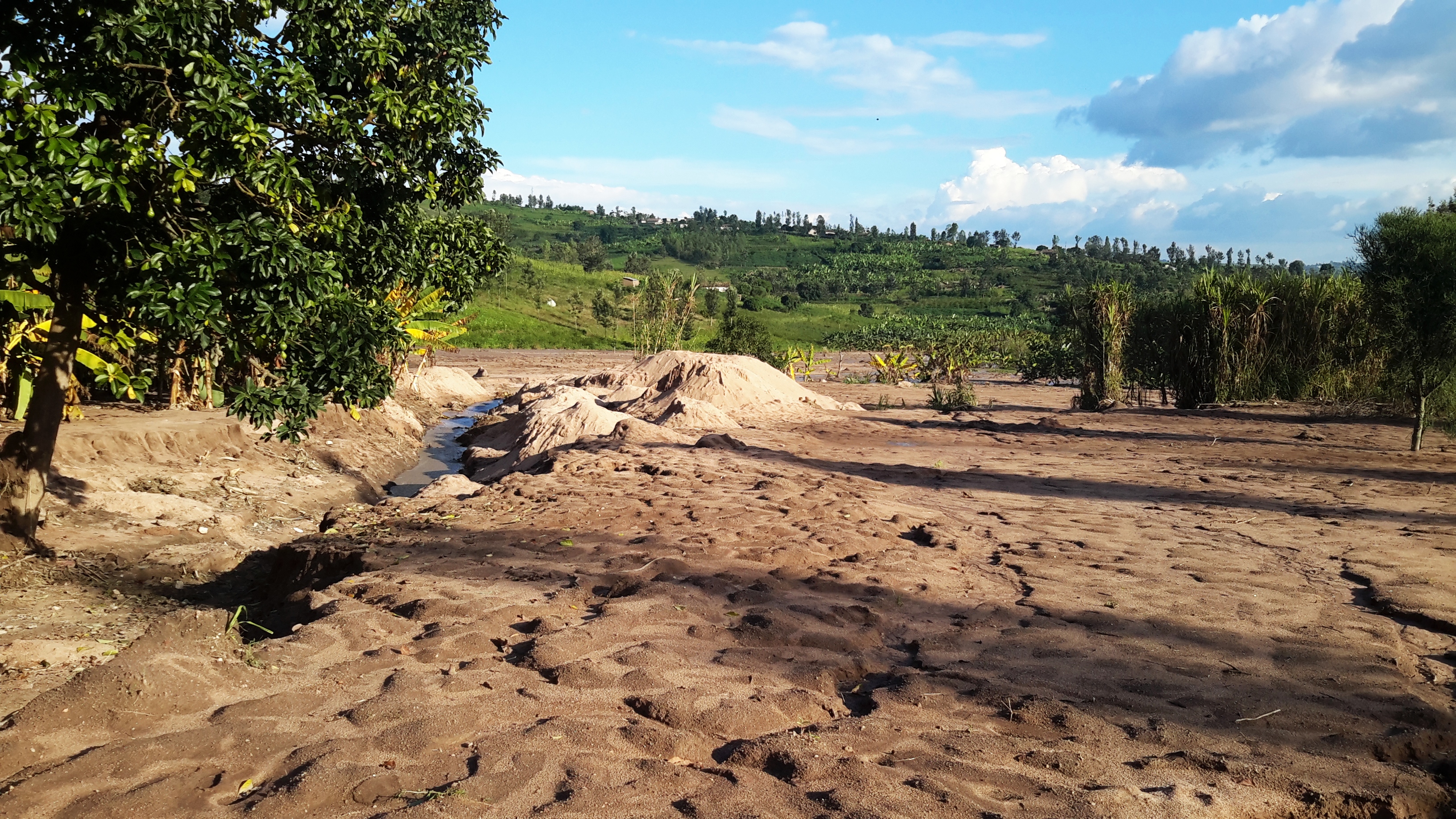 Muri ako karere kimwe nk'ahandi henshi mu gihugu, imyaka yatembanywe n'isuri cyangwa inkangu, aho ibihingwa byaboze ibindi bikaba byararengewe